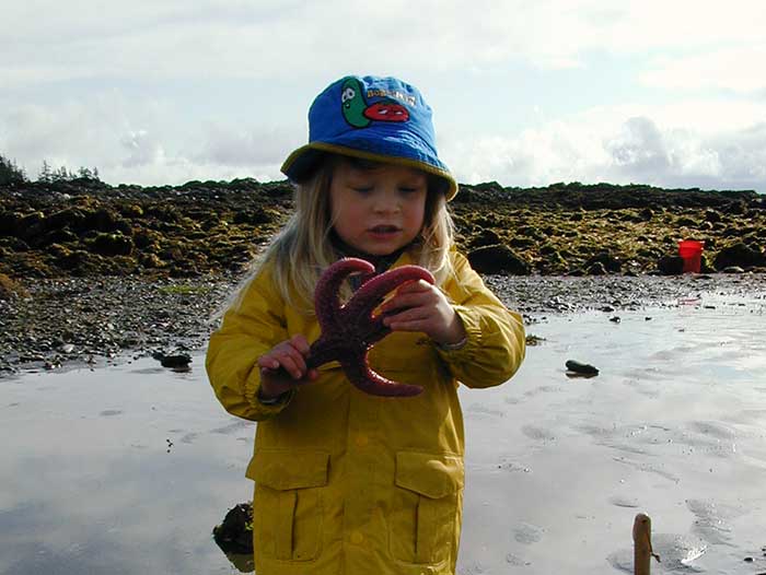 Alaska Sightseeing in Thorne Bay Alaska. Little girl with star fish.
