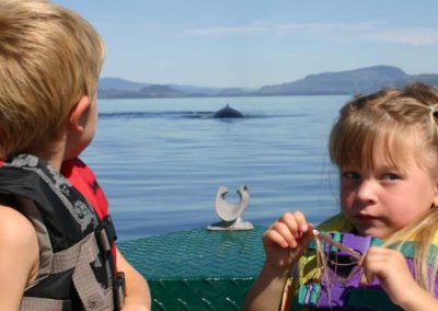 Sightseeing on Prince of Wales Island Alaska, humpback whales