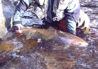 Steelhead Fishing on Prince of Wales Island Alaska