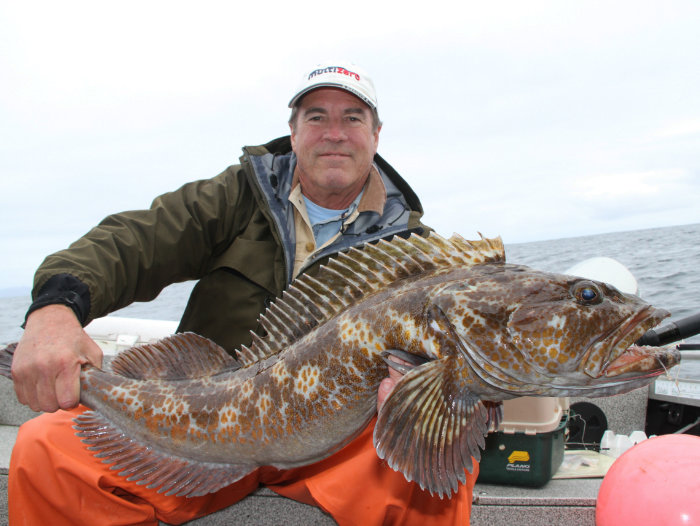 Alaska Fishing, Ling Cod